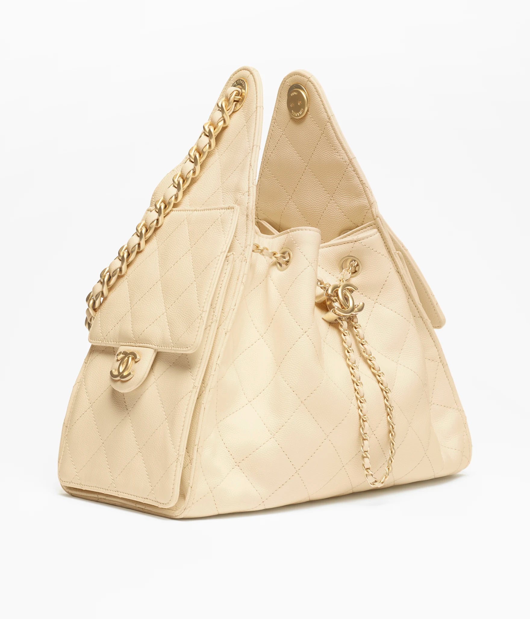 CH 25 Bag